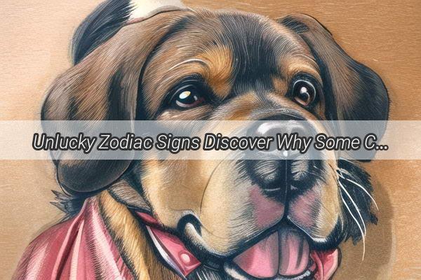 Unlucky Zodiac Signs Discover Why Some Canines Are a Bad Fit for Certain Birth Years